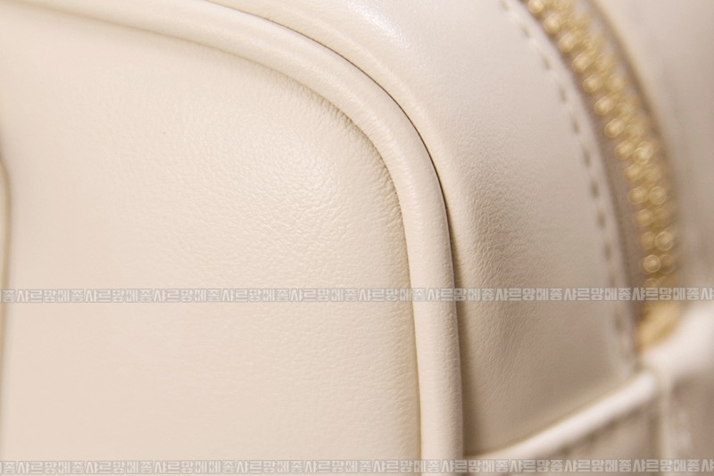 미우미우아르카디백  20260314-141844-017루.jpg