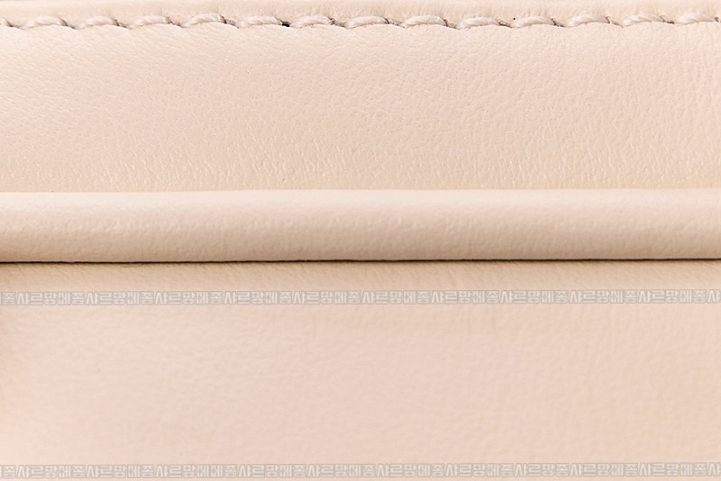 미우미우아르카디백  20260314-142252-010루.jpg