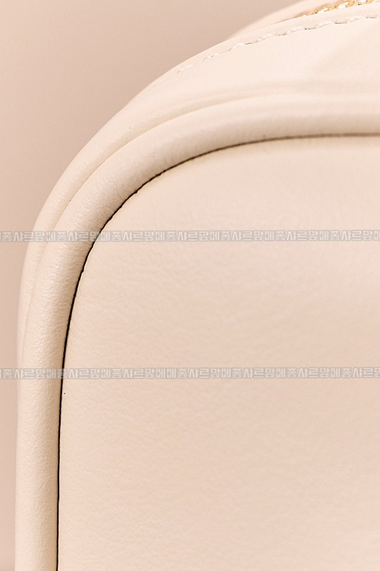 미우미우아르카디백  20260314-142253-013루.jpg