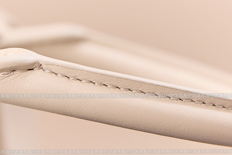 미우미우아르카디백  20260314-142253-014루.jpg