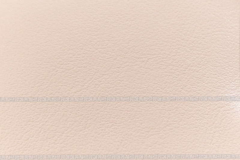 미우미우아르카디백  20260314-142253-012루.jpg