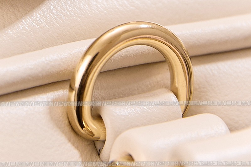 미우미우아르카디백  20260314-142253-016루.jpg