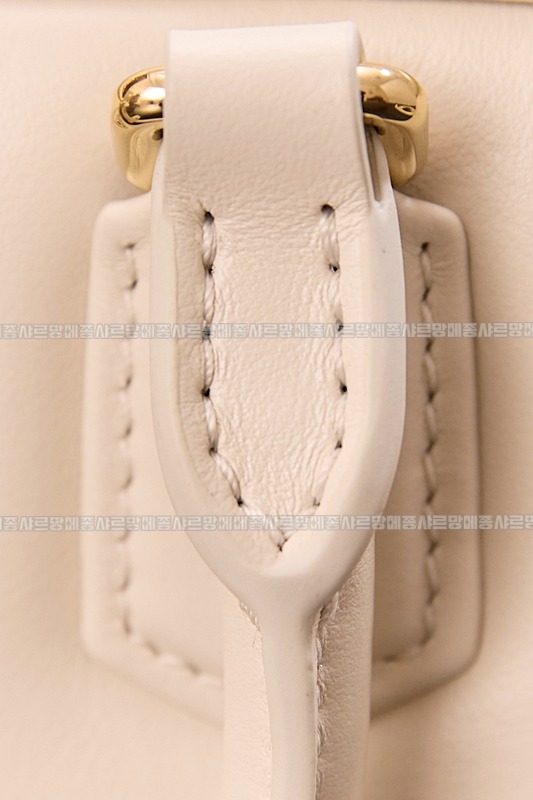 미우미우아르카디백  20260314-142254-019루.jpg