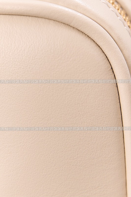 미우미우아르카디백  20260314-142254-022루.jpg