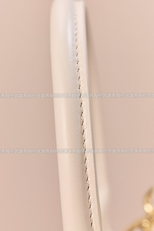 미우미우아르카디백  20260314-142816-015루.jpg