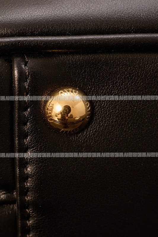 미우미우아르카디백  20260314-143955-014루.jpg