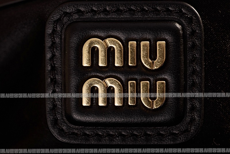 미우미우아르카디백  20260314-143956-015루.jpg