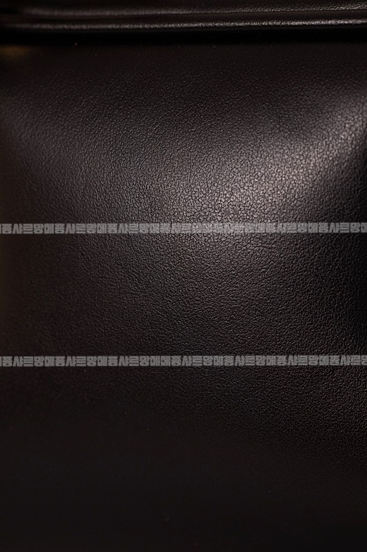 미우미우아르카디백  20260314-143956-019루.jpg