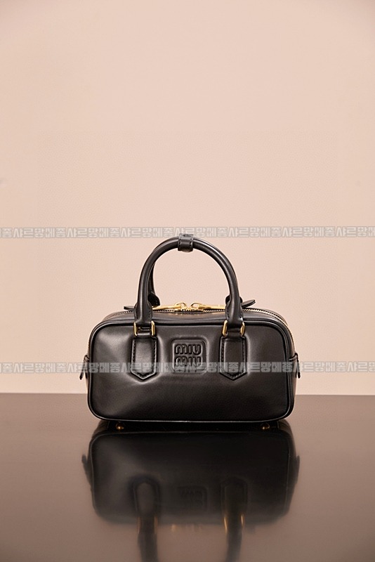 미우미우아르카디백  20260314-144627-001루.jpg