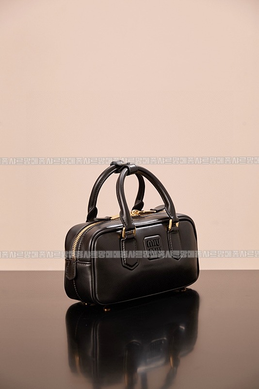 미우미우아르카디백  20260314-144628-005루.jpg