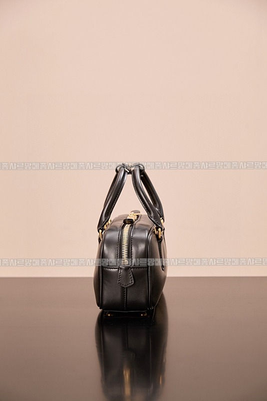 미우미우아르카디백  20260314-144627-004루.jpg