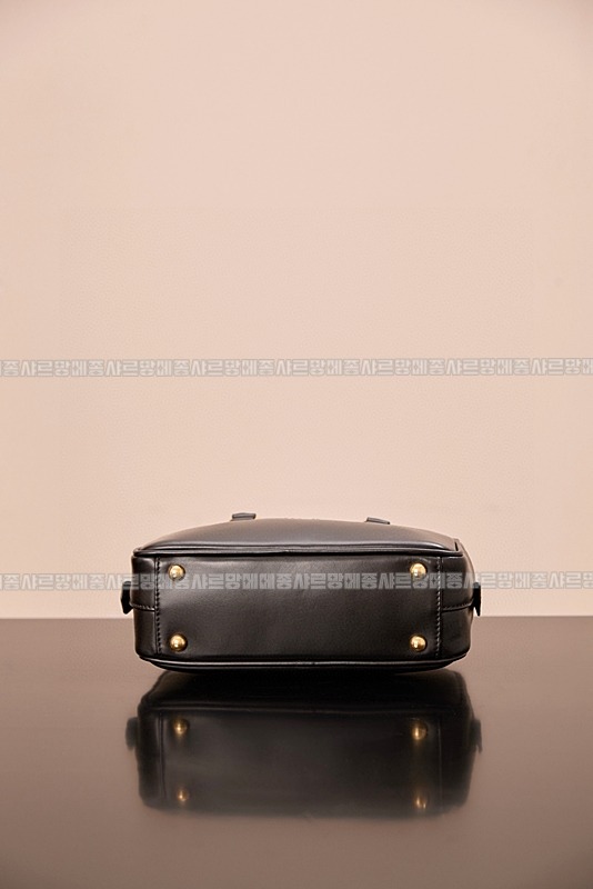 미우미우아르카디백  20260314-144628-006루.jpg