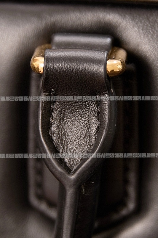 미우미우아르카디백  20260314-144628-010루.jpg