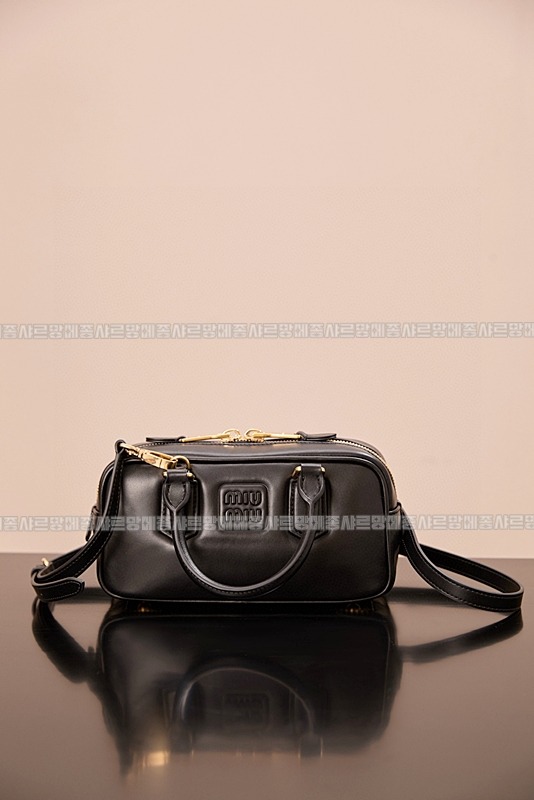 미우미우아르카디백  20260314-144628-008루.jpg