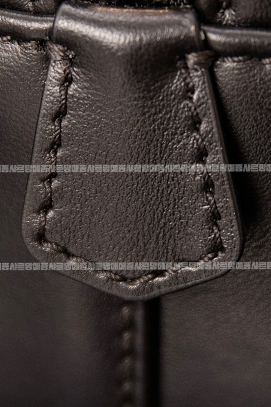 미우미우아르카디백  20260314-144629-011루.jpg