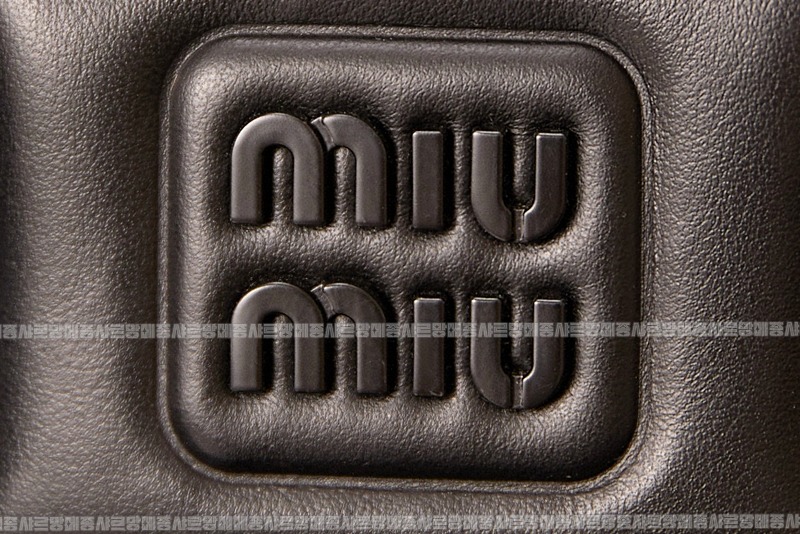 미우미우아르카디백  20260314-144630-019루.jpg