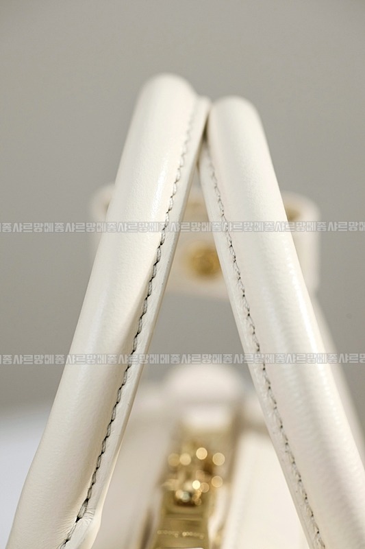 미우미우아르카디마테라세나파가죽백  20260314-153329-012루.jpg