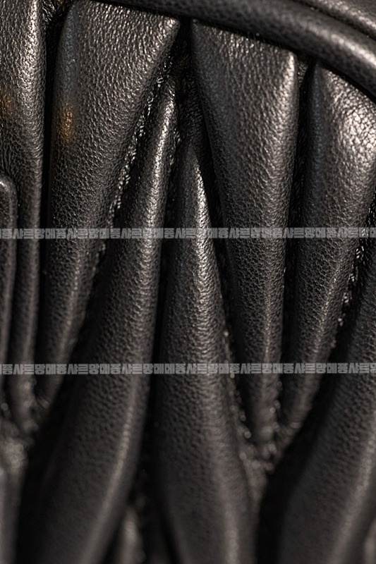 미우미우아르카디마테라세나파가죽백  20260314-165218-012루.jpg