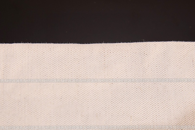 미우미우아이비캔버스토트백 20260315-125116-012루.jpg