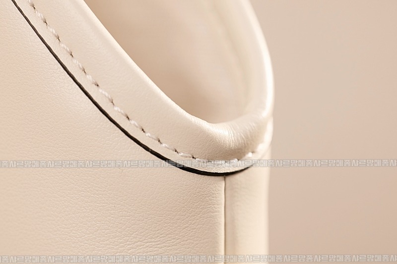 미우미우아이비캔버스토트백 20260315-130503-011루.jpg