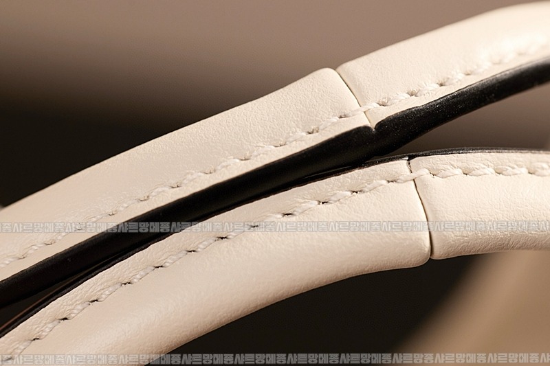 미우미우아이비캔버스토트백 20260315-131557-011루.jpg