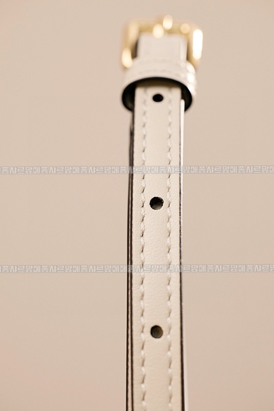 미우미우아이비캔버스토트백 20260315-131557-012루.jpg