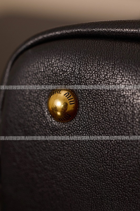 미우미우아방뛰르나파가죽백  20260316-123523-019루.jpg