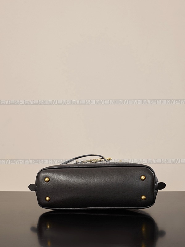 미우미우아방뛰르나파가죽백  20260316-125303-008루.jpg