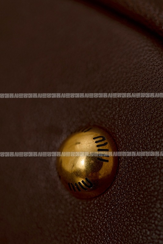 미우미우아방뛰르나파가죽백  20260316-142253-019루.jpg