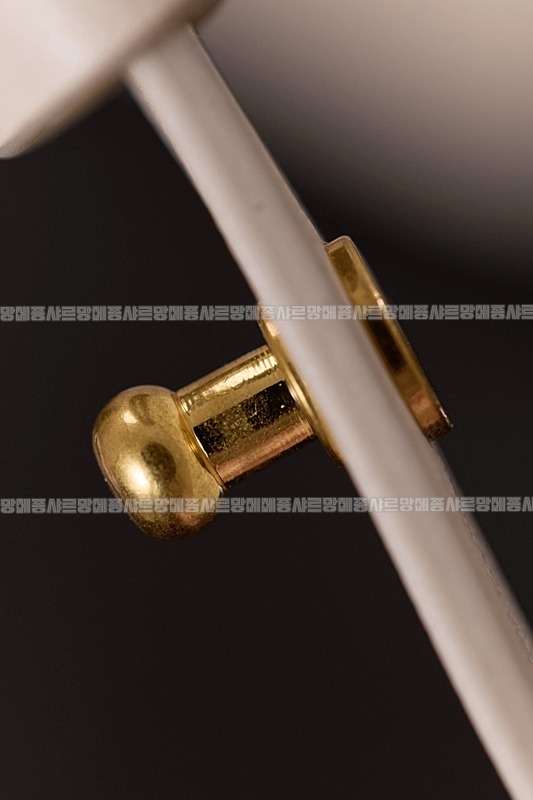 미우미우레더마이크로보백 20260317-133509-012루.jpg