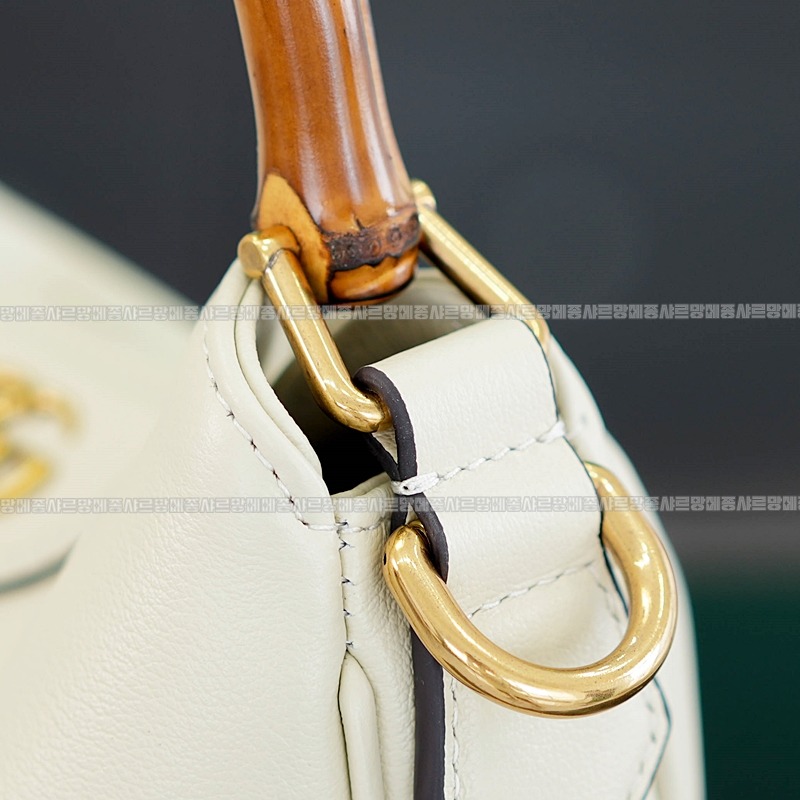 구찌다이애나숄더백스몰  20260319-125548-013루.jpg