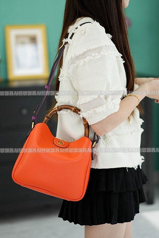 구찌다이애나숄더백스몰  20260319-125857-024루.jpg