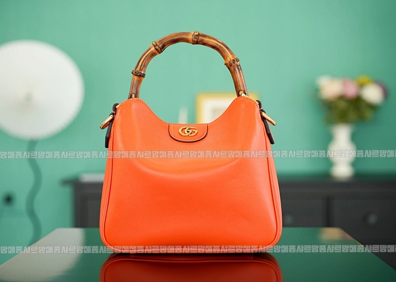 구찌다이애나숄더백스몰  20260319-125852-001루.jpg