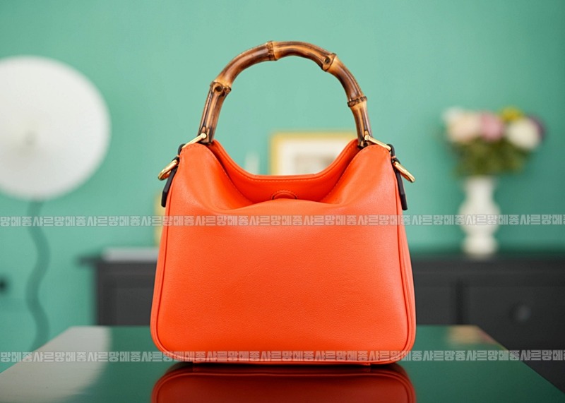 구찌다이애나숄더백스몰  20260319-125853-006루.jpg