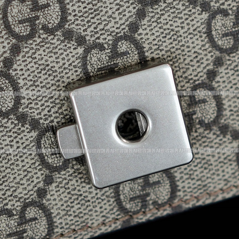 구찌디오니서스GG슈프림숄더백 20260319-142528-016루.jpg