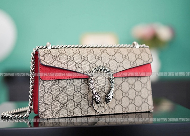 구찌디오니서스GG핸드백스몰 20260319-144508-007루.jpg