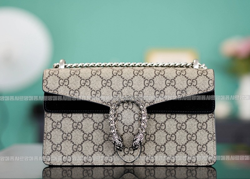 구찌디오니서스GG핸드백스몰 20260319-144916-001루.jpg