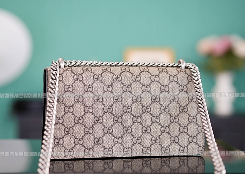 구찌디오니서스GG핸드백스몰 20260319-144916-004루.jpg