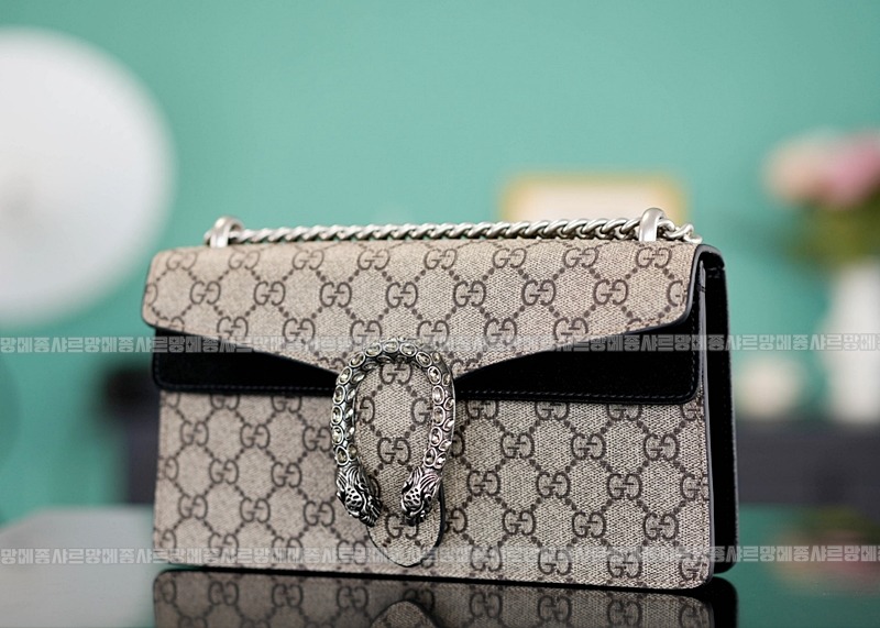 구찌디오니서스GG핸드백스몰 20260319-144916-002루.jpg