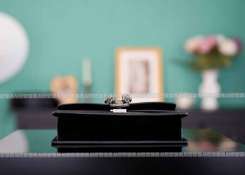 구찌디오니서스GG핸드백스몰 20260319-144917-006루.jpg