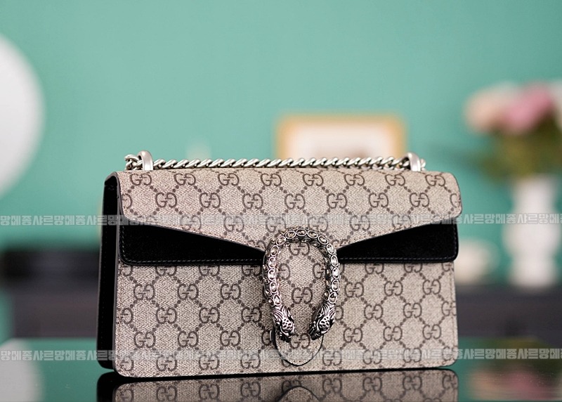 구찌디오니서스GG핸드백스몰 20260319-144917-007루.jpg