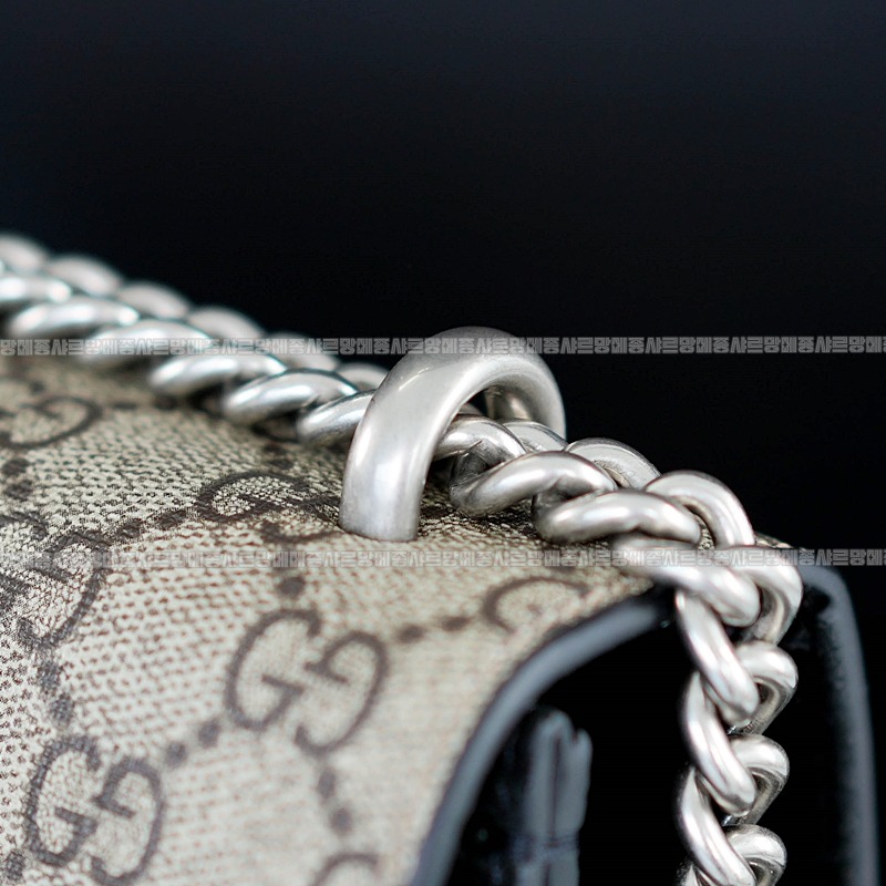 구찌디오니서스GG핸드백스몰 20260319-144918-012루.jpg