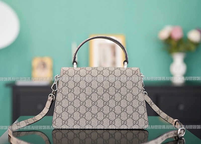 구찌디오니소스백 20260319-160638-004루.jpg