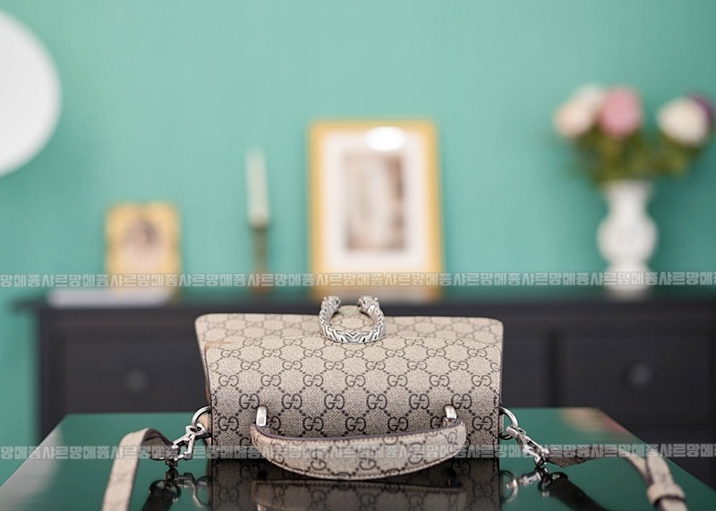 구찌디오니소스백 20260319-160638-005루.jpg