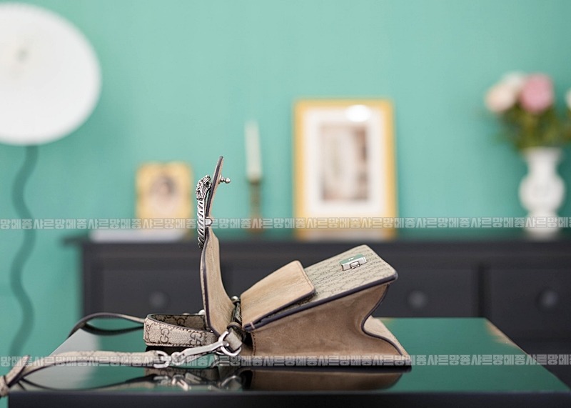 구찌디오니소스백 20260319-160638-009루.jpg