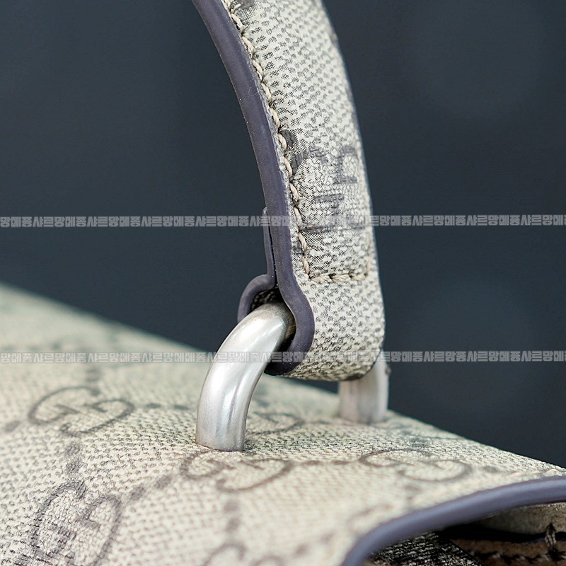 구찌디오니소스백 20260319-160639-012루.jpg