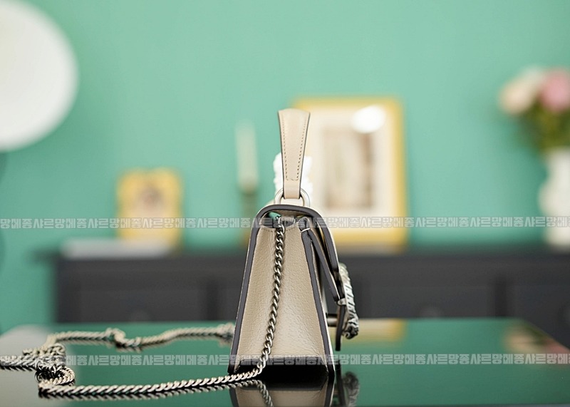 구찌디오니소스백미니 20260319-161116-003루.jpg