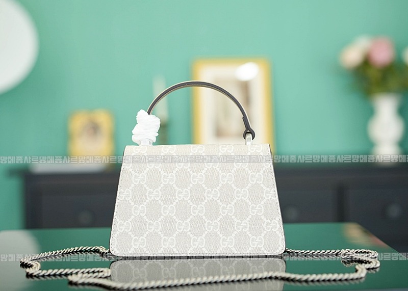 구찌디오니소스백미니 20260319-161116-004루.jpg