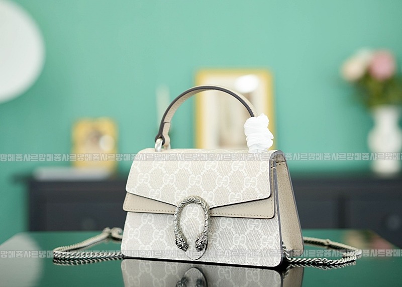 구찌디오니소스백미니 20260319-161116-002루.jpg