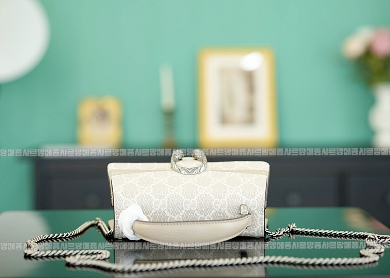 구찌디오니소스백미니 20260319-161116-005루.jpg